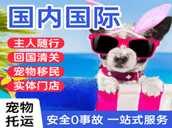 营口机场托运国际宠物托运 【国
